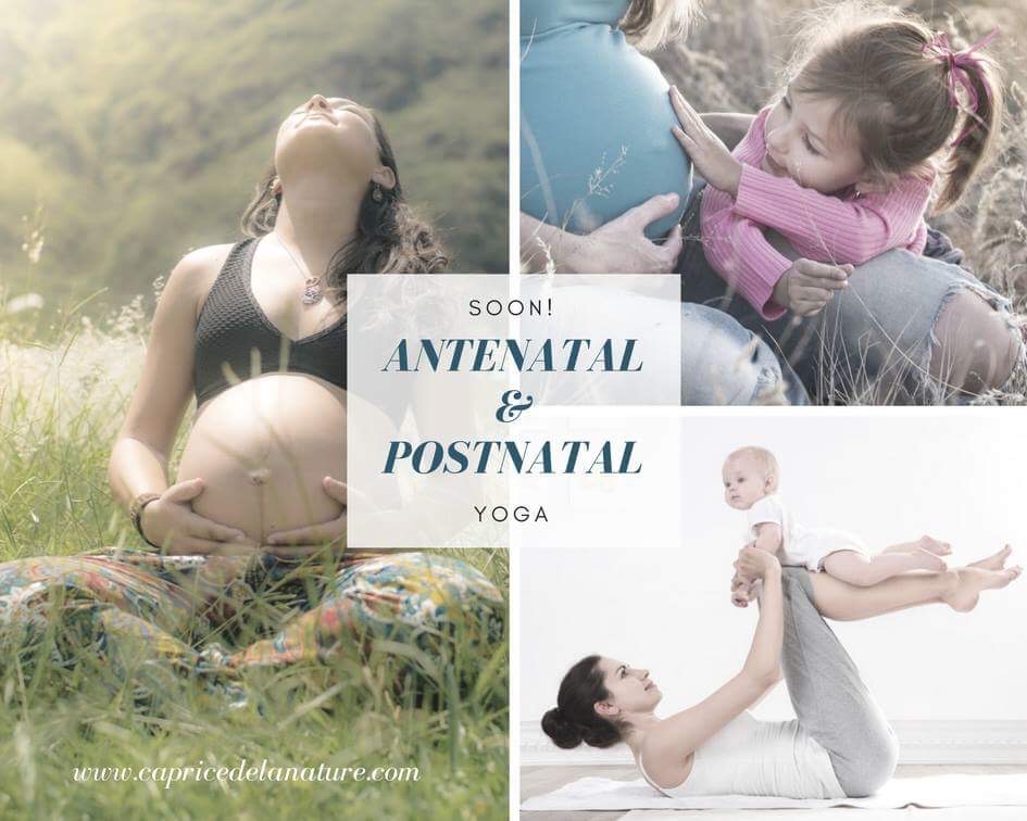 Yoga Prénatal