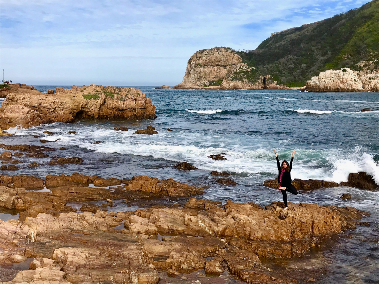 aviary_1529341454292