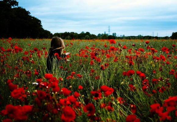Rituel de la ménarche –  Premières lunes